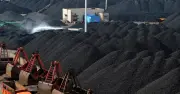 Nghịch lý điện thần Mỹ: Càng bảo vệ càng sụt giảm