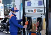 Nghiên cứu kinh nghiệm quốc tế phát triển nhiên liệu sinh học tại Việt Nam