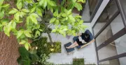 Ngôi nhà hạnh phúc: Không gian chữa lành trong cuộc sống hiện đại
