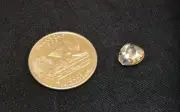 Người phụ nữ Mỹ tìm thấy kim cương 3,09 carat sau chuỗi ngày đau buồn