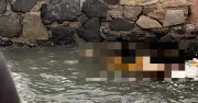 Người thân tới nhận dạng thi thể phụ nữ nổi trên sông ở TPHCM