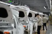 Ngành ô tô Hàn Quốc đạt cột mốc vàng: Đã xuất khẩu 7.655 triệu xe