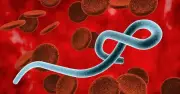 Nguy cơ Ebola xâm nhập Việt Nam qua đường du lịch quốc tế