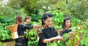 Nguyên Bộ trưởng Ksor Phước nói về đổi thay vùng dân tộc thiểu số