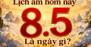 Ngày 8/5: Ngày Thanh Long Đầu, Thalassemia và Chữ thập đỏ quốc tế