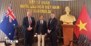 Nhà phân phối gạo lớn nhất Australia mở rộng đầu tư tại Việt Nam