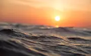 Nhiệt độ đại dương gần chạm mức kỷ lục khi El Nino sắp quay lại
