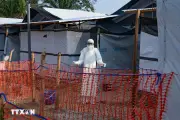 Nhiều nước hạn chế đi lại tới khu vực bùng phát virus Ebola