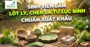 Nhóm sinh viên FPT Cần Thơ biến lá lục bình thành bộ dụng cụ ăn xanh
