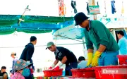 Nhộn nhịp cảng cá Đại An ngày nắng gắt cuối tháng 4