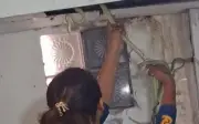 Nhân viên cứu hộ Thái Lan dùng tay không bắt 5 con rắn xanh trên trần nhà