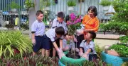 Những đóa hoa và cây xanh tri ân Bác Hồ kỷ niệm 136 năm ngày sinh