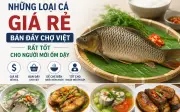 Những loại cá rẻ tiền bán đầy chợ giàu dinh dưỡng cho người mới ốm dậy
