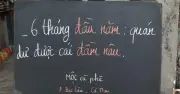 Những quán cà phê độc lạ miền Tây và TP.HCM gây sốt mạng xã hội