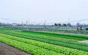 Những trường hợp không được cấp sổ đỏ từ năm 2026