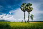 Những yếu tố đưa du lịch thành ngành kinh tế mũi nhọn