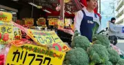 Nhật Bản bổ sung bông cải xanh vào danh sách rau củ thiết yếu sau 50 năm