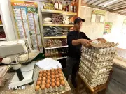 Nhật Bản, Belarus, Mexico hỗ trợ Cuba năng lượng và lương thực