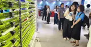 Nỗi lo chi phí cản trở chuyển đổi xanh của doanh nghiệp Việt