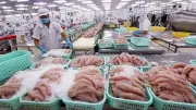 Năm 2025: Xử phạt an toàn thực phẩm tăng dù số cơ sở vi phạm giảm
