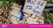 Nấm trôi nổi bủa vây chợ dân sinh TP.HCM: Người mua đang 'đánh cược' sức khỏe