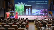 Đà Nẵng tổ chức Hội thi Báo cáo viên, Tuyên truyền viên giỏi năm 2026