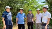 Đà Nẵng tháo gỡ vướng mắc tại các khu công nghiệp Tam Anh