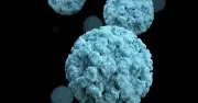 Norovirus bùng phát mạnh tại Mỹ, chuyên gia cảnh báo nguy cơ lây nhiễm cao