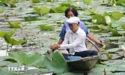 Nét văn hóa độc đáo của trà sen xứ Huế
