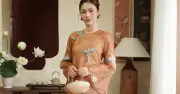 Áo dài Việt Nam: Biểu tượng văn hóa và vẻ đẹp qua từng thiết kế