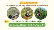 OCOP Tuyên Quang: Hoàn thiện chuỗi giá trị, gắn sản xuất với du lịch và văn hóa