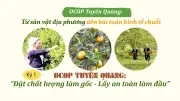 OCOP Tuyên Quang: Nông sản vươn xa nhờ chuyển đổi số và chính sách hỗ trợ
