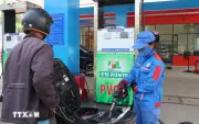 Petrolimex ngừng bán xăng RON95, chuyển sang E10 từ 20/5