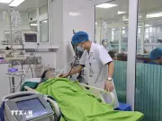 Phú Thọ: Sốc nhiệt nguy kịch do lao động giữa nắng nóng gay gắt