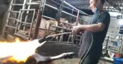 Phú Thọ xử lý lò mổ '3 không' sau phóng sự điều tra của Báo Thanh Niên