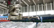 Phân bón chịu thuế GTGT 5% từ 2025: Không chịu thuế chưa chắc đã lợi