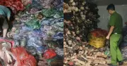 Phát hiện 1,2 tấn nội tạng bò không rõ nguồn gốc tại Hà Nội