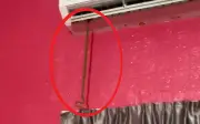 Phát hiện rắn dài 1m chui ra từ điều hòa trong phòng ngủ, người đàn ông hoảng hốt
