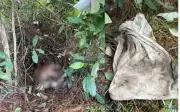 Phát hiện thi thể nghi phạm giết người tại núi Thiên Nhẫn Hà Tĩnh