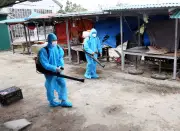 Phạt vi phạm phòng chống dịch bệnh truyền nhiễm lên tới 40 triệu đồng