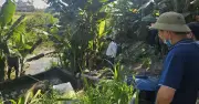 Quảng Ngãi chỉ đạo xử lý ô nhiễm kênh chìm Sơn Tịnh kéo dài