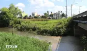 Quảng Ngãi xác định nguyên nhân ban đầu gây ô nhiễm kênh Chìm Sơn Tịnh