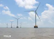 Quảng Ninh chấp thuận đầu tư dự án điện gió trên biển đầu tiên