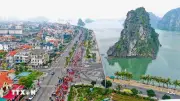 Quảng Ninh khơi thông nguồn lực từ đất đai tạo động lực phát triển kinh tế xã hội