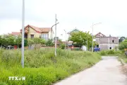 Quảng Trị chỉ đạo kiểm tra, xử lý bất cập tại khu dân cư 'ba không'