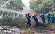 Quảng Trị dập tắt cháy rừng giáp ranh hai xã Quảng Ninh và Ninh Châu