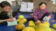 Quy định mới về bảo vệ quyền sở hữu trí tuệ và trách nhiệm doanh nghiệp