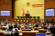 Quy định xử lý kỷ luật với người vi phạm pháp luật tố cáo là cán bộ công chức