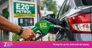 Quy định xăng sinh học trên thế giới: Tỷ lệ ethanol bắt buộc ra sao?