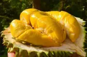 Rau quả Việt thu gần 3 tỷ USD dù Trung Quốc siết quy định nhập khẩu